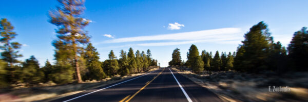 Landschaftsbild am Highway in Arizona, USA. Aufgenommen vom Auto aus in hoher Geschwindigkeit auf der Straße mit vorbeiziehenden Bäumen entlang der Straße