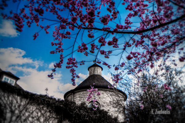 Blüten vor dem Turm der Villa Schwalbenhof in Gärtringen