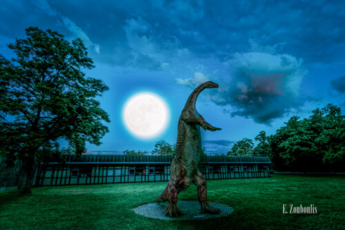 Nachts vor dem Löwentor Museum in Stuttgart