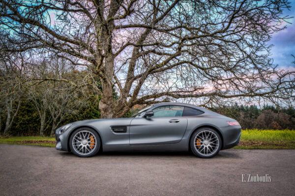 Aufnahme eines Mercedes Benz AMG GTS an einem Baum