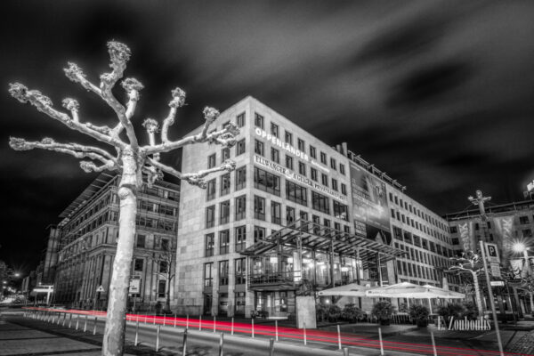 Schwarzweiß Aufnahme bei Nacht mit roten Lichtschweif, der den Verkehr kennzeichnet am Börsenplatz in Stuttgart. Im Vordergrund eine Platane und der Verkehr, der durch die Börsenstraße zieht. Im Hintergrund das Lillet (ehem. California)